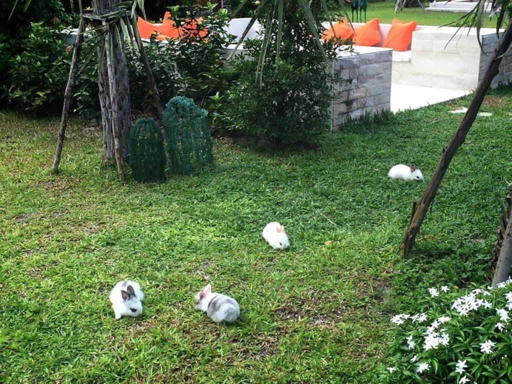V谷度假村 沙敦 外观 照片