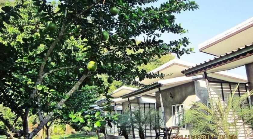 V谷度假村 沙敦 外观 照片