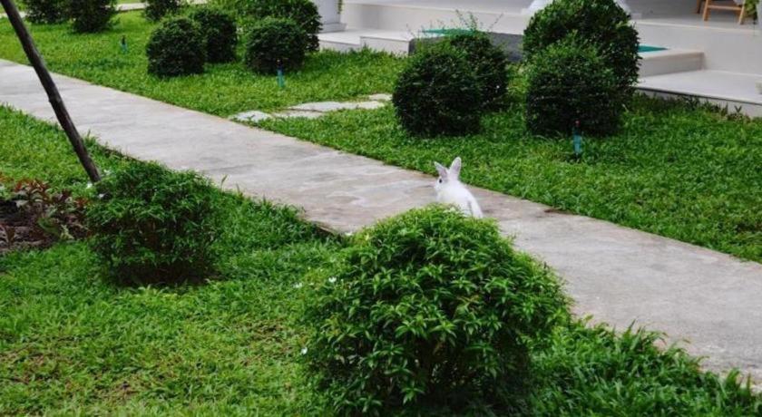 V谷度假村 沙敦 外观 照片